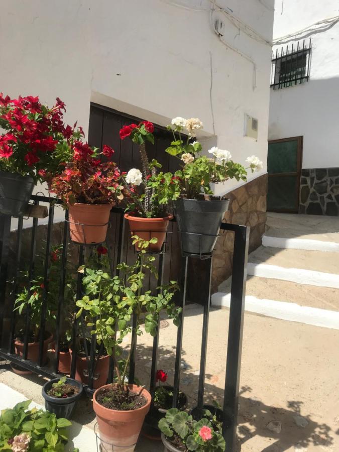 Casa Amigos Sorvilan- La Palmera エクステリア 写真