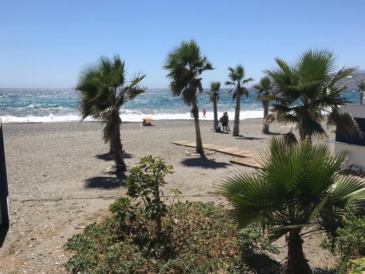 Casa Amigos Sorvilan- La Palmera エクステリア 写真