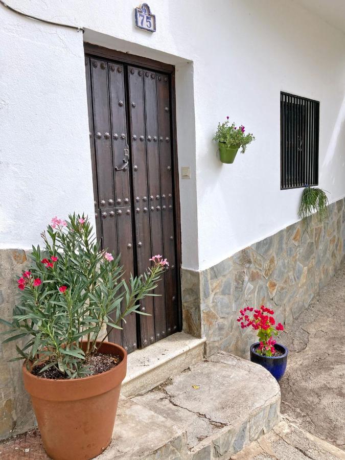 Casa Amigos Sorvilan- La Palmera エクステリア 写真