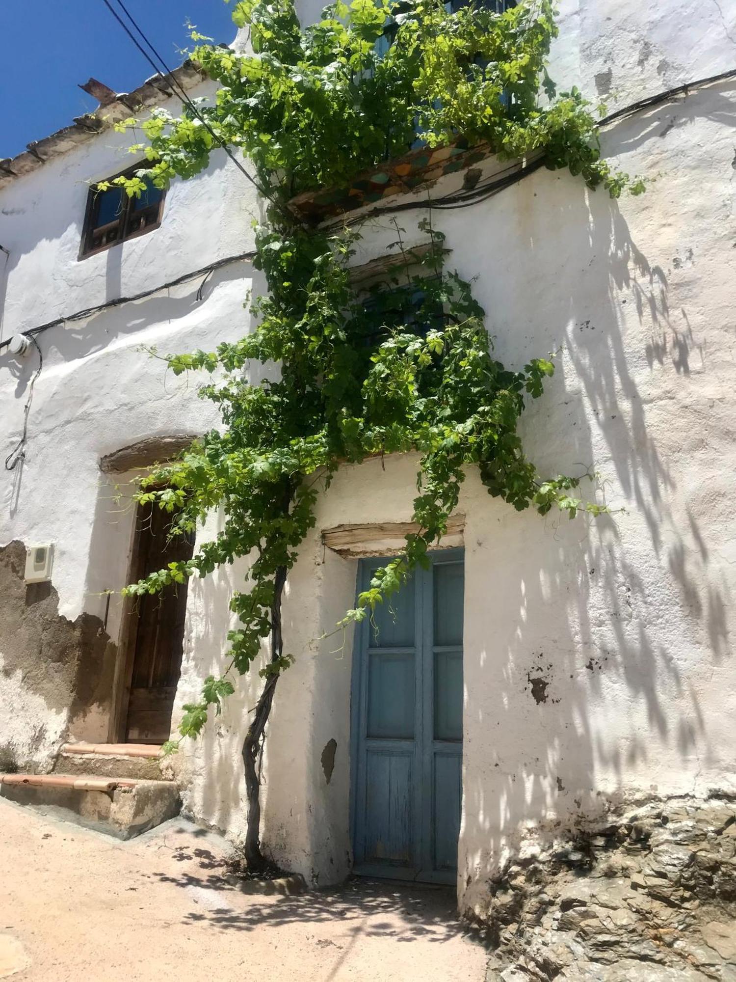 Casa Amigos Sorvilan- La Palmera エクステリア 写真